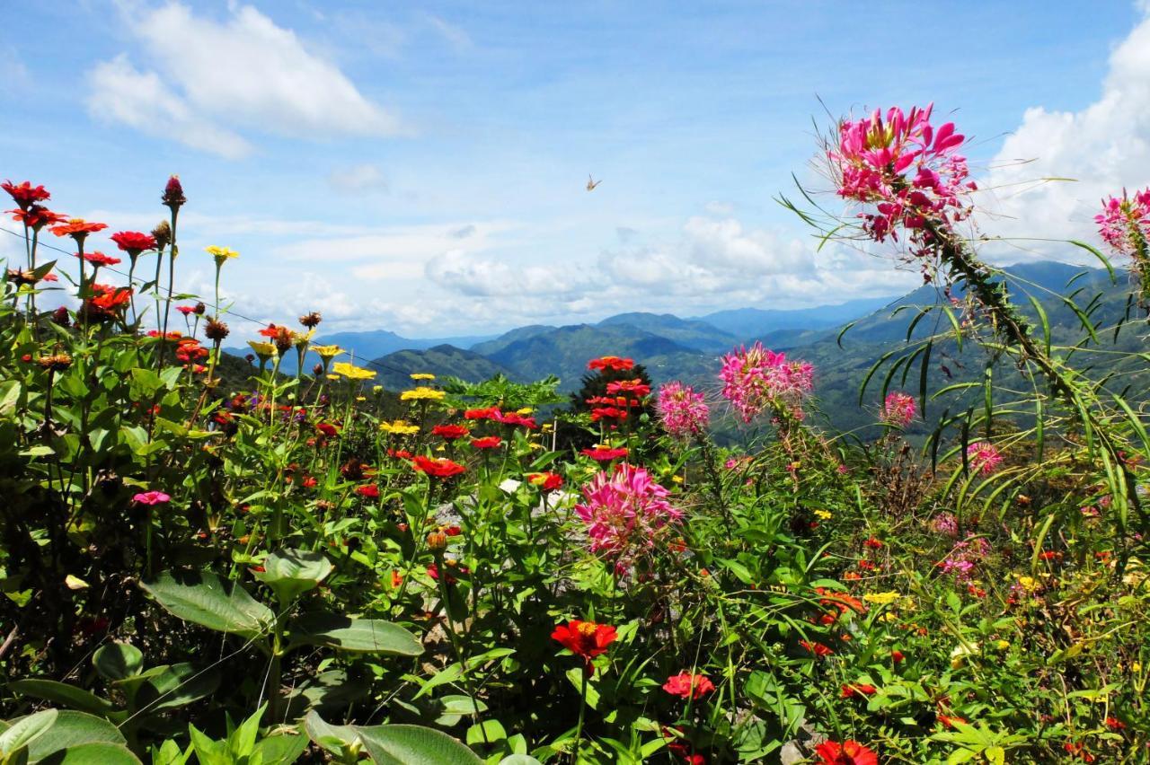 Ecohotel Soplo Del Tambo โกกอร์นา ภายนอก รูปภาพ
