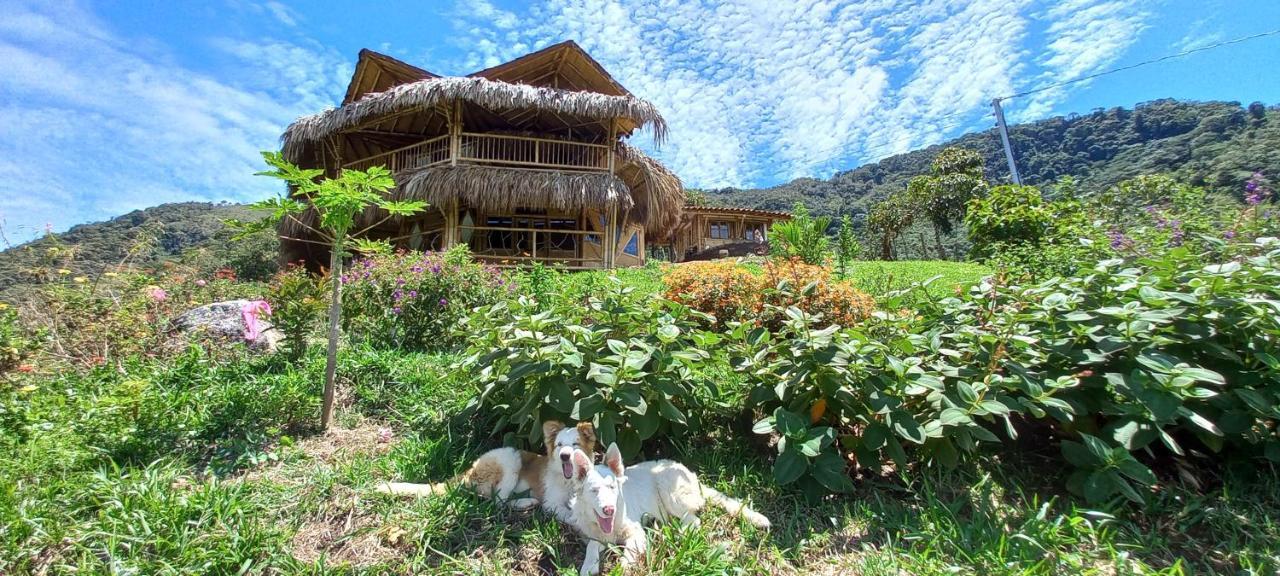 Ecohotel Soplo Del Tambo โกกอร์นา ภายนอก รูปภาพ