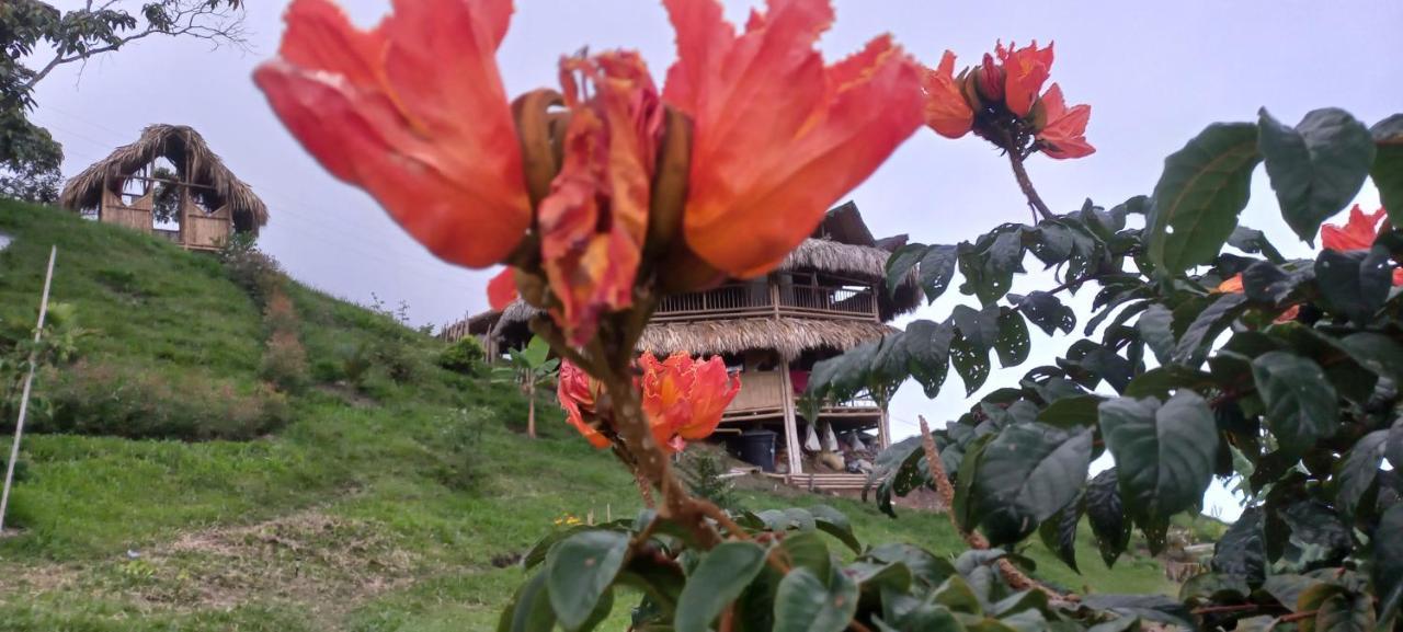 Ecohotel Soplo Del Tambo โกกอร์นา ภายนอก รูปภาพ